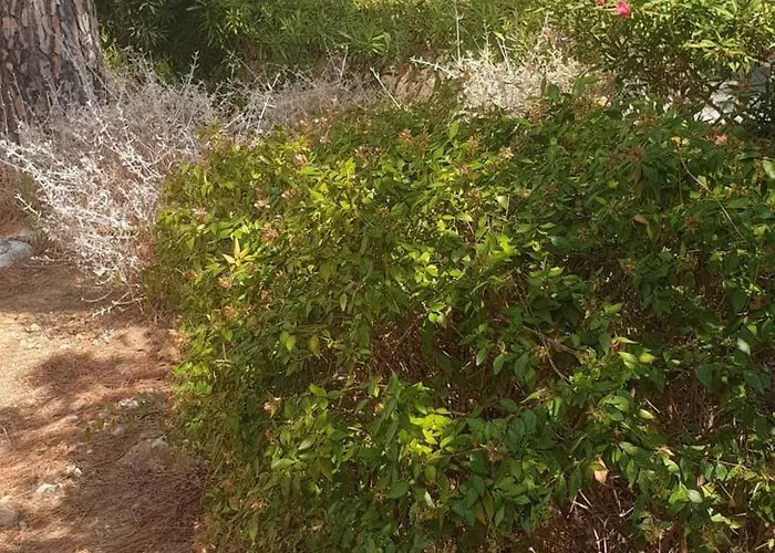 St Maxime Holiday home